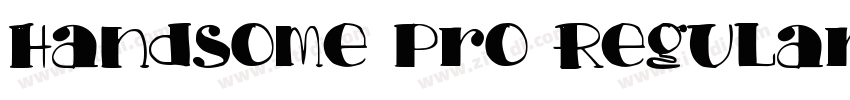 Handsome Pro Regular字体转换